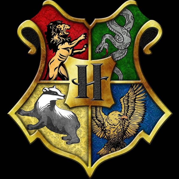 Harry Potter! Hogwarts Houses!